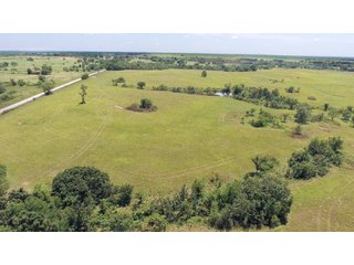 Property photo 7 - LAND AUCTION - 1,593+/- ACRES OFFERED IN 21 TRACTS IN OKMULGEE CO., OK